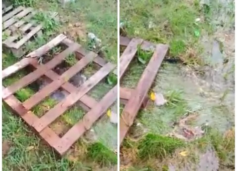 Vídeo: enojo vecinal por una pérdida de agua de más de 20 días en barrio Los Viveros