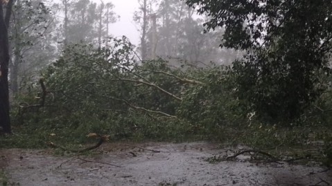 Daños y cortes de energía por el temporal de este miércoles en General Rodríguez
