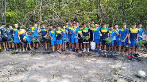 El Municipio responsabilizó al Club Alem por la tala en el Monte del Hospital: qué respondió el club