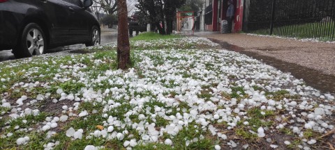 Vídeo: así fue la infernal caída de granizo de este jueves en General Rodríguez