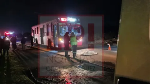 Quién era el hombre que murió atropellado por un colectivo en la Ruta 7
