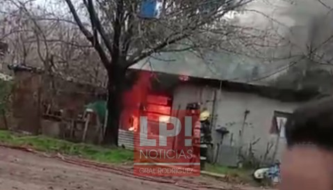 Una mascota desató un voraz incendio que dejó sin nada a una jubilada en barrio Marabó