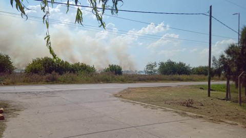 Bomberos trabajan hace horas para combatir incendios forestales en General Rodríguez