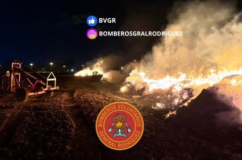 Importante incendio forestal en un campo cercano al límite con Luján