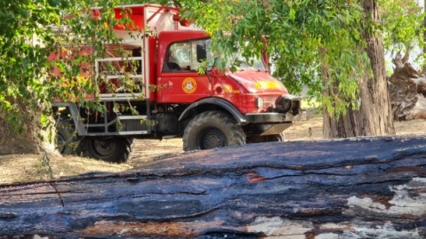 Un árbol cayó sobre el postes de fibra óptica en R24, cerca del ingreso al Hospital Vicente López