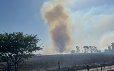 Infierno en un campo cercano al barrio Bicentenario por un importante incendio forestal