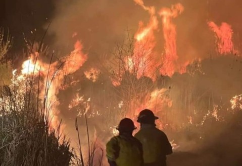 Bomberos debieron trabajar por horas para apagar un infernal incendio en un campo de barrio Güemes