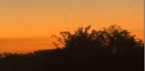 Nueva invasión de mosquitos en General Rodríguez: todo lo que hay que saber para cuidarse del Dengue