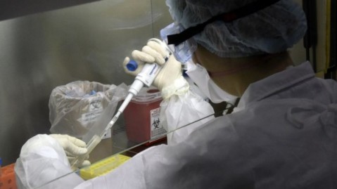 Se publicó el último reporte semanal de Covid-19: menos casos que el informe anterior