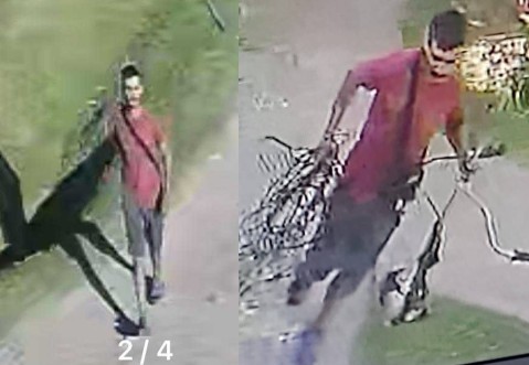 Ladrón quedó escrachado por cámaras en Villa Vengochea: lo acusan de entrar a robar a varias casas