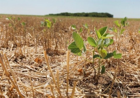Por la sequía, la Provincia asiste a productores de General Rodríguez y otros 32 distritos bonaerenses