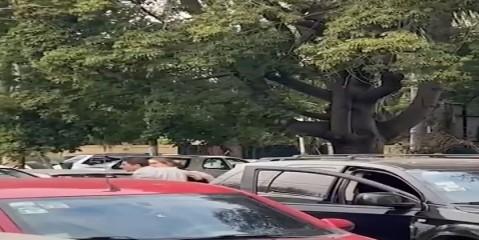 Video: así fue la violenta pelea que tuvo el concejal Matías Ledesma en un acto de Karina Milei y Martín Menem en Morón