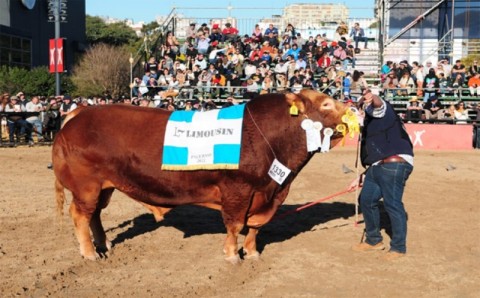 Ganadero Rodriguense fue reconocido por ganar un premio en un concurso de La Rural