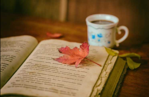 Agosto comienza con un taller de literatura para todos los vecinos