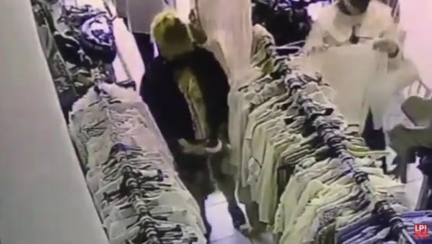 Video: as&iacute; robaron dos "mecheras" en un comercio de Ruta 7