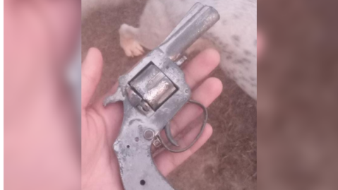 Insólita situación en un merendero del barrio Güemes