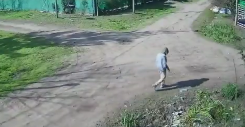 Vídeo: merodeaba por la zona y esperó su momento para robar
