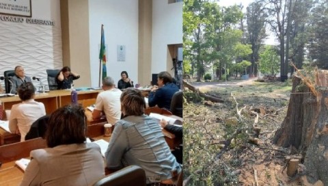 Concejales opositores piden información sobre la situación del Monte del Hospital