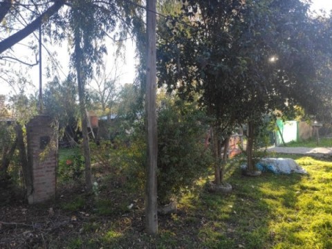 Un hombre de 46 años fue hallado sin vida en su casa tras presentar síntomas de Covid-19