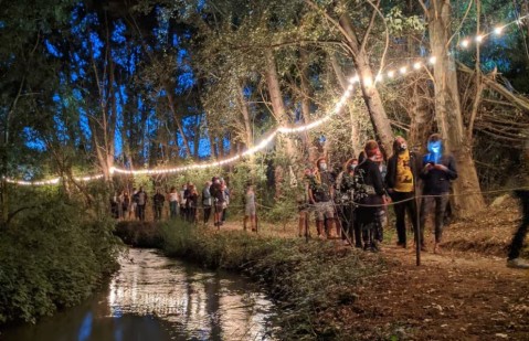 "Música en el bosque": el municipio convoca a un espectáculo artístico diferente