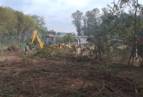 "Las manos en la tala": otra vez en el monte del Hospital, ahora vinculado con un club de fútbol