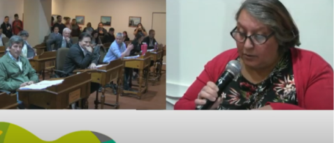 Una madre expuso en la banca participativa del HCD, que su hijo con TEA vive en crisis por ATILRA y UPJET