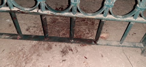 El Municipio descarta que el perro haya sido herido por un puma en B° Solares del Oeste