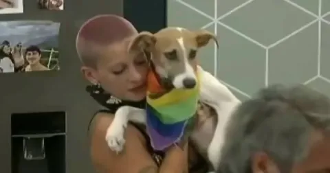 Pol&eacute;mica en torno a Arturo, el perro de Gran Hermano: la denuncia de una familia de General Rodr&iacute;guez