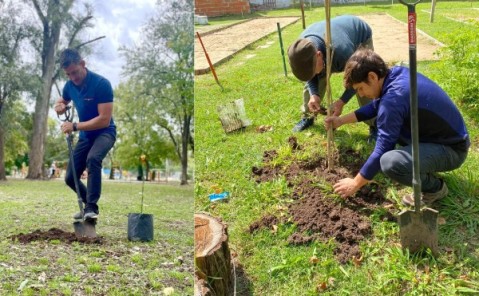 Cómo es el plan de de forestación con 4.000 árboles en General Rodríguez