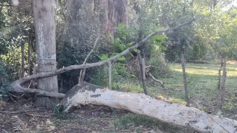 Quién era el hombre asesinado por un ex policía federal en General Rodríguez