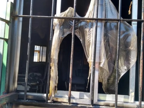 Horror en Maravilla del Oeste: mataron a un ex policía y quemaron su casa para borrar evidencias