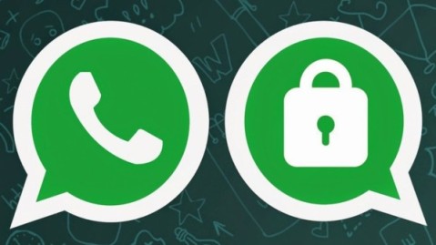 Whatsapp lanzó nuevas funciones de privacidad: cuáles son