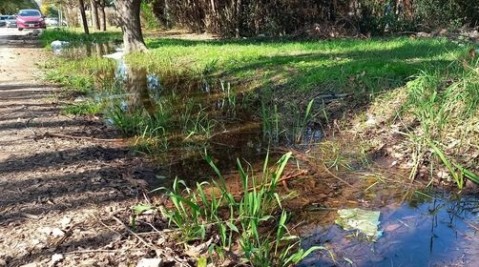 El drama de vivir con una laguna en la vereda: el reclamo de vecino del barrio Los Viveros