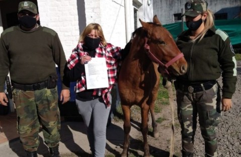 Recuperaron un caballo que había sido robado en Luján