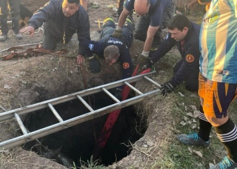 Bomberos rescataron a un caballo que se cayó a un pozo ciego en Altos del Oeste