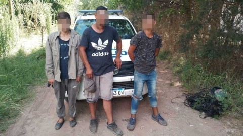 El llamado de un vecino permitió arrestar a tres jóvenes en una zona rural