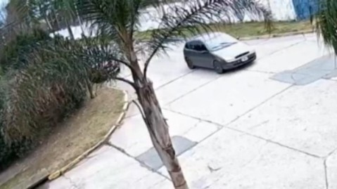 Video: golpe de "robaruedas" en una esquina céntrica