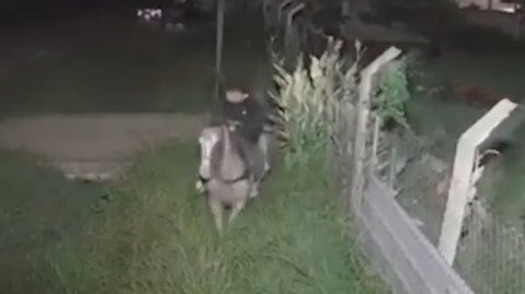 Video de caballochorros en General Rodríguez llegó a televisión nacional