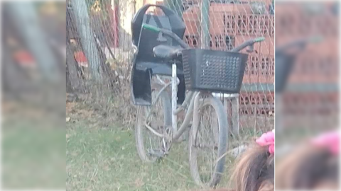 Sin darse cuenta, le entraron a robar la bicicleta al patio de su casa