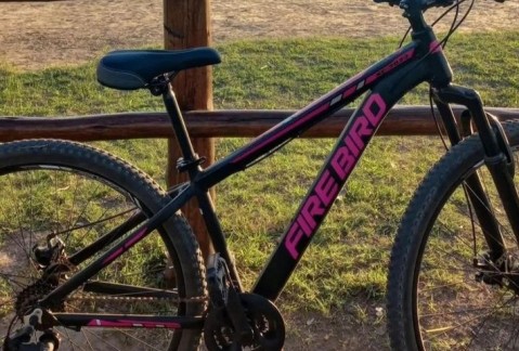 Le robaron la bicicleta en la puerta de un comercio céntrico