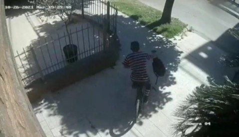 Es paseador de perros, dejó su bicicleta en la casa de un cliente y un delincuente se la robó