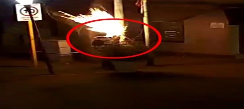 Video: robaron cables, dejaron a una cuadra sin luz y fueron detenidos tras ser vistos por las cámaras