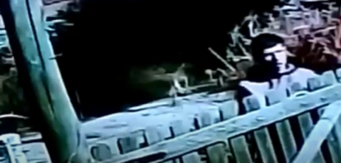 Video: cortó la luz y entró a robar, pero quedó grabado por cámaras de la casa