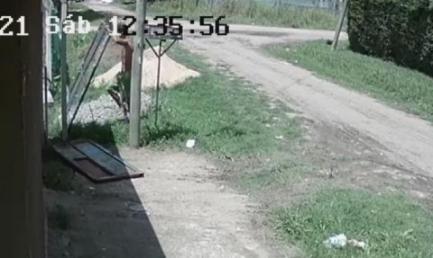 Video: así intentó un sujeto robarse un portón a plena luz del día