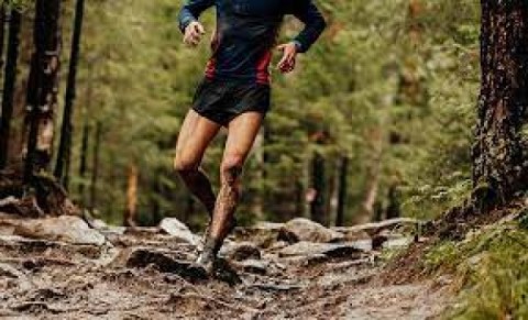 El domingo se realizará la primera carrera Cross Running Emex: cómo participar