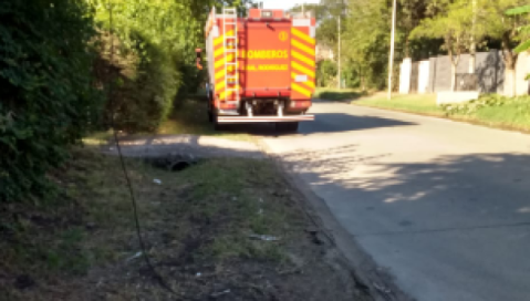 Camión arrancó cables en una avenida y generó un importante peligro