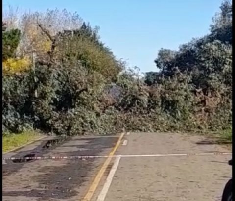 Múltiples destrozos por el fuerte temporal en General Rodríguez
