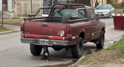Le robaron la camioneta que usaba para trabajar