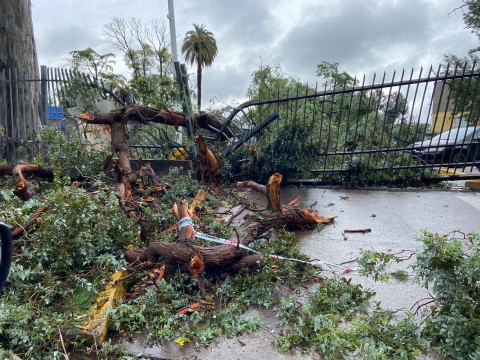 Reporte oficial: uno a uno, los daños que dejó el feroz temporal en General Rodríguez
