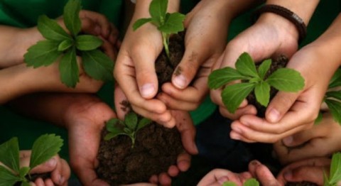 General Rodríguez declaró de interés municipal un proyecto de educación ambiental